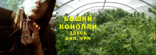 скорость Богородск